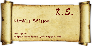 Király Sólyom névjegykártya